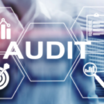Audit